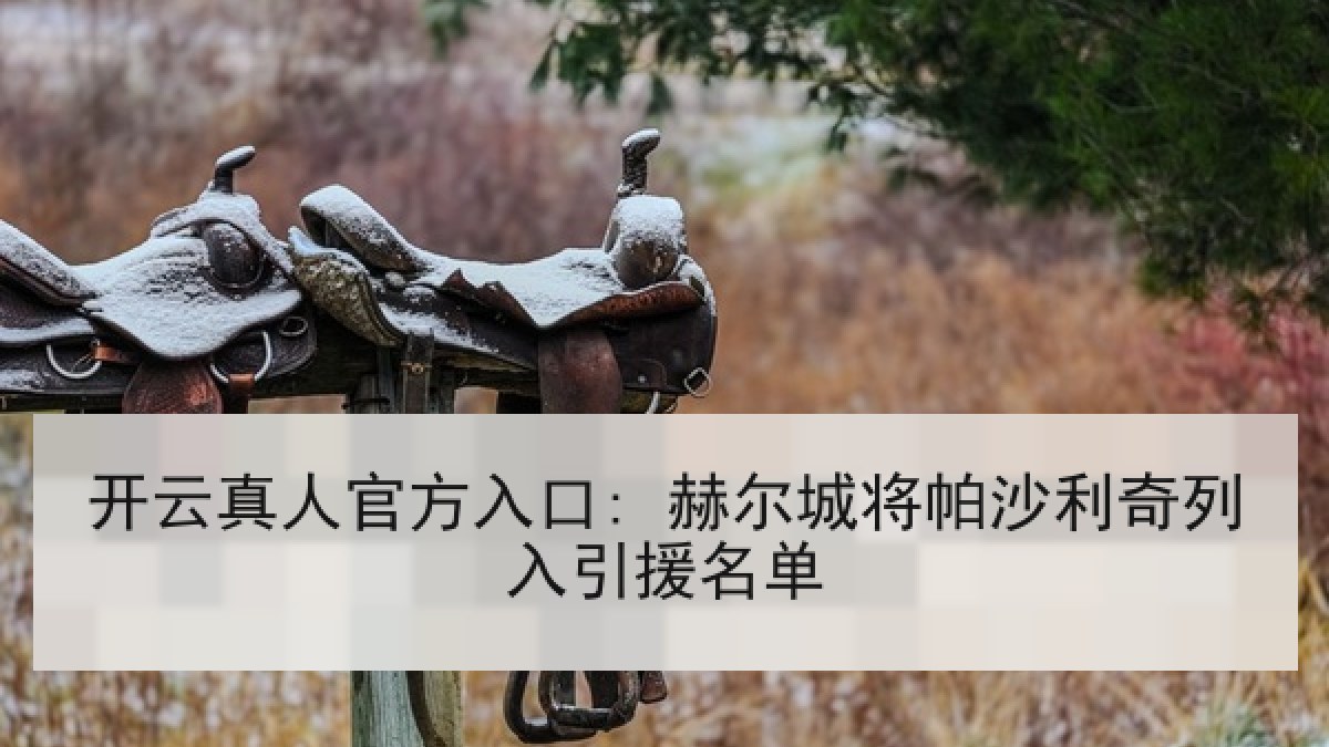 开云真人官方入口: 赫尔城将帕沙利奇列入引援名单