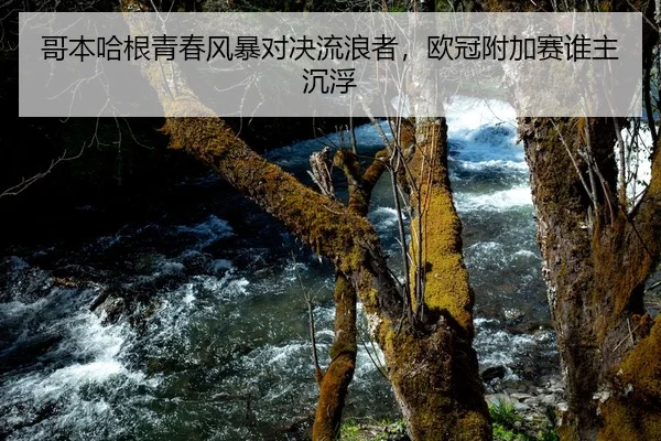 ge-ben-ha-gen-qing-chun-feng-bao-dui-jue-liu-lang-zhe-ou-guan-fu-jia-sai-shui-zhu-chen-fu-2-104.jpg
